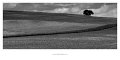 Set01HDRI1from_P1180518_bw_pano