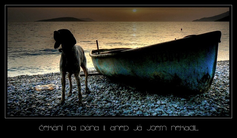 img00002.jpg