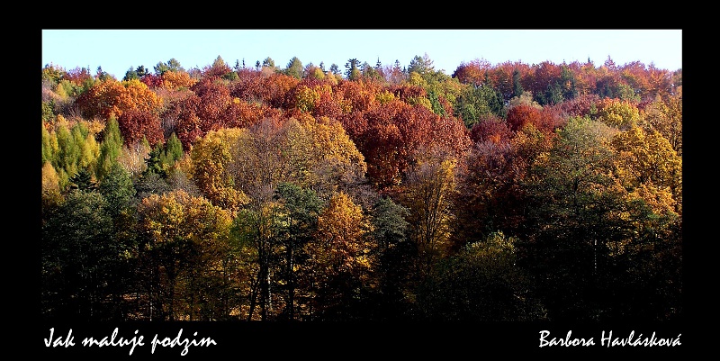 img00010.jpg