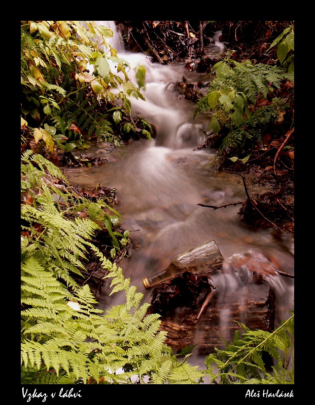 img00011.jpg