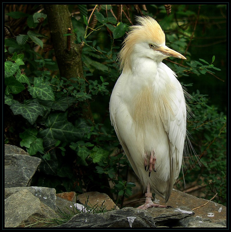 img00003.jpg